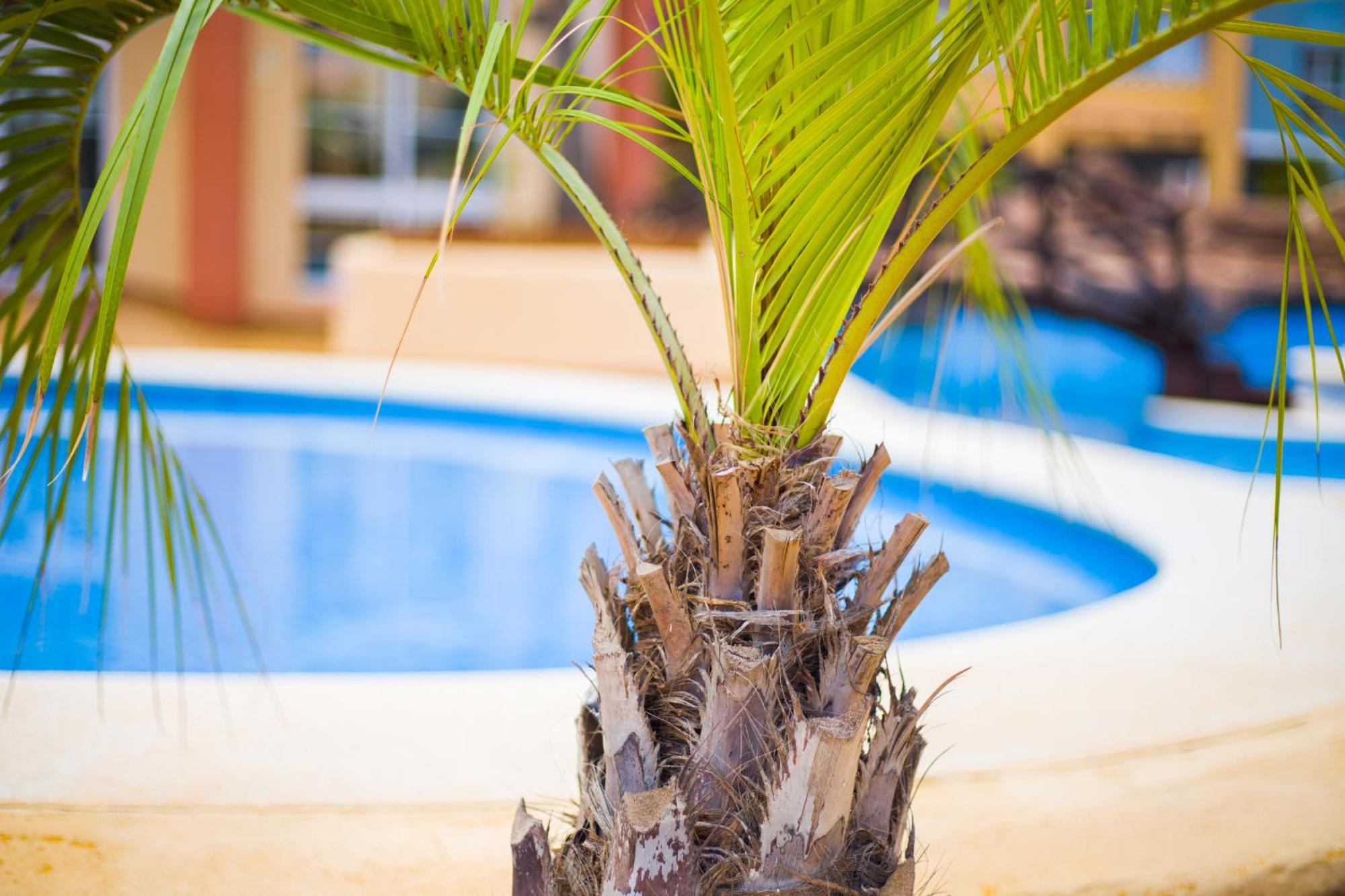 Apartamento Turistico Verdemar 2 Λα Μάνγκα Δελ Μαρ Μενόρ Εξωτερικό φωτογραφία